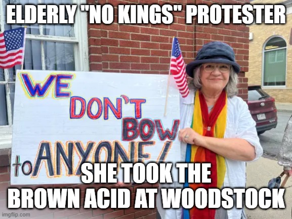 No Kings useful idiot | ELDERLY "NO KINGS" PROTESTER; SHE TOOK THE BROWN ACID AT WOODSTOCK | image tagged in elderly,protester | made w/ Imgflip meme maker
