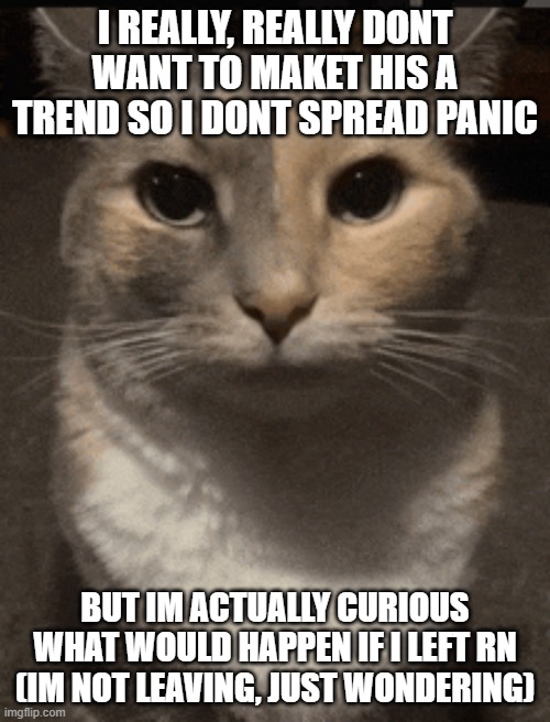 cat dead stare | I REALLY, REALLY DONT WANT TO MAKET HIS A TREND SO I DONT SPREAD PANIC; BUT IM ACTUALLY CURIOUS WHAT WOULD HAPPEN IF I LEFT RN (IM NOT LEAVING, JUST WONDERING) | image tagged in cat dead stare,sans of topic | made w/ Imgflip meme maker