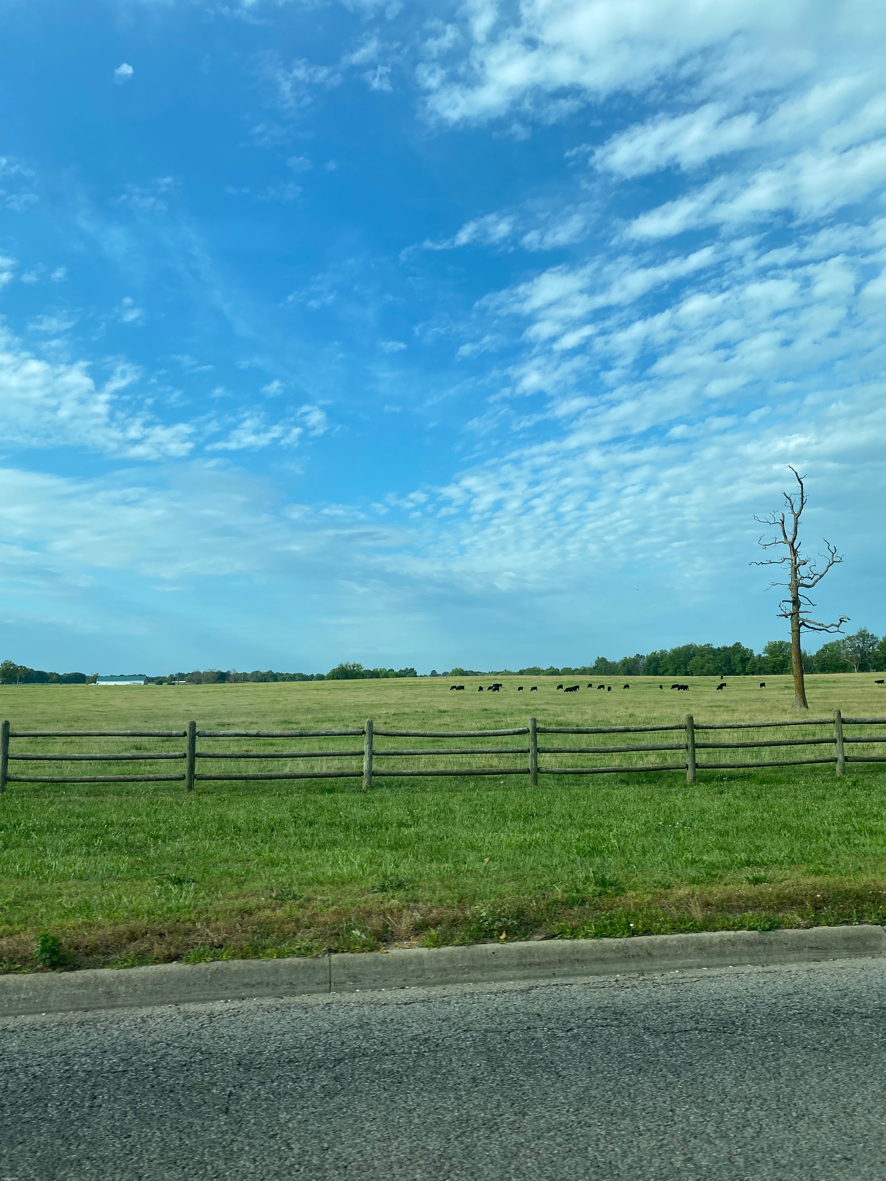 Arkansas | image tagged in picture,so pretty,country | made w/ Imgflip meme maker