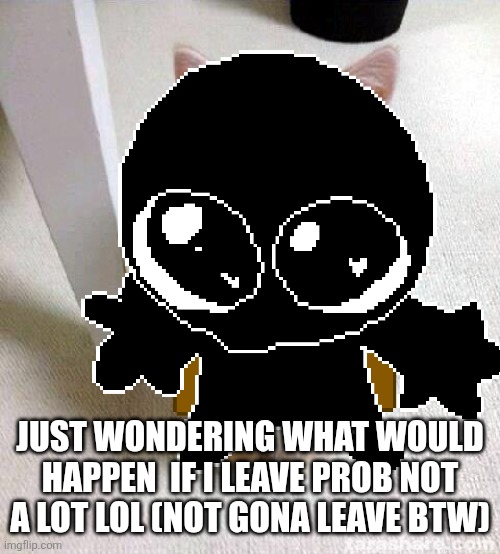 Yeah lol | JUST WONDERING WHAT WOULD HAPPEN  IF I LEAVE PROB NOT A LOT LOL (NOT GONA LEAVE BTW) | image tagged in memes,cute cat | made w/ Imgflip meme maker