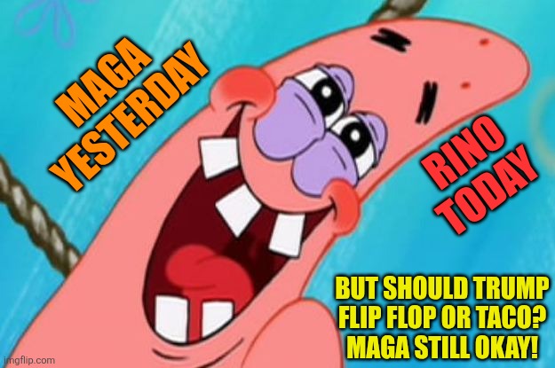 patrick star | MAGA YESTERDAY RINO TODAY BUT SHOULD TRUMP FLIP FLOP OR TACO?
MAGA STILL OKAY! | image tagged in patrick star | made w/ Imgflip meme maker