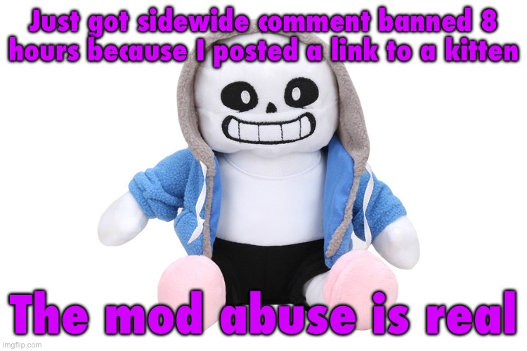 This was Andrew btw | Just got sidewide comment banned 8 hours because I posted a link to a kitten; The mod abuse is real | image tagged in sans undertale,sans of topic | made w/ Imgflip meme maker