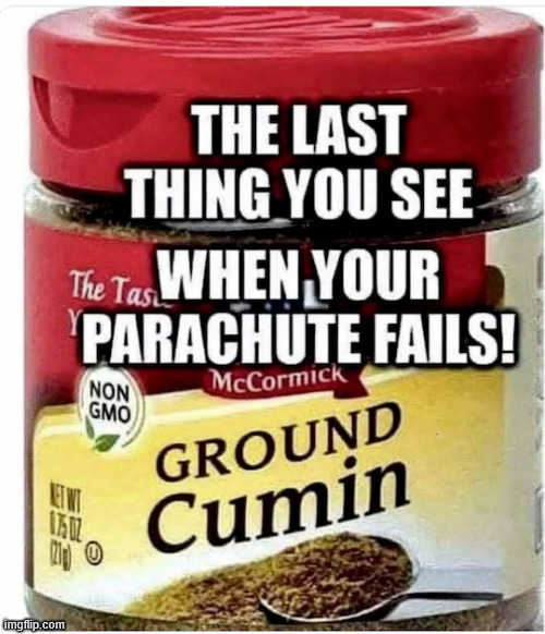 Really... Spices? | image tagged in repost,last thing you see | made w/ Imgflip meme maker