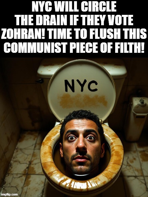 NYC is circling the drain! Will they complete the flush by voting communist! | image tagged in flush,communist socialist | made w/ Imgflip meme maker