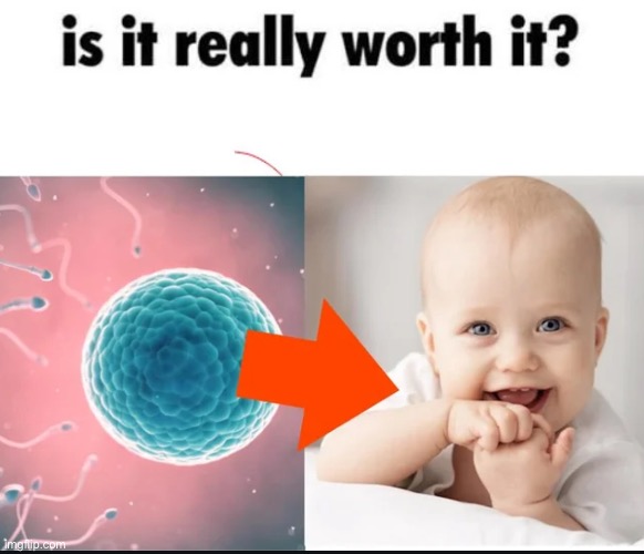 Definitely not | made w/ Imgflip meme maker