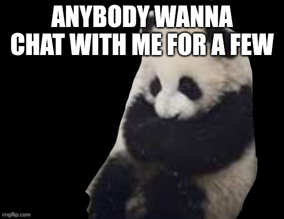 panda | ANYBODY WANNA CHAT WITH ME FOR A FEW | image tagged in panda | made w/ Imgflip meme maker