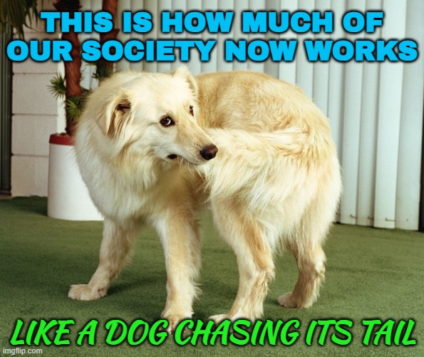 This Is How Much Of Our Society Now Works | THIS IS HOW MUCH OF
OUR SOCIETY NOW WORKS; LIKE A DOG CHASING ITS TAIL | image tagged in dog tail-chasing,society sucks,we live in a society,life sucks,i don't want to live on this planet anymore,life lessons | made w/ Imgflip meme maker