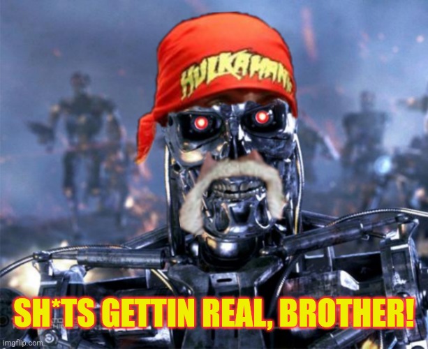 Hulk Hogan Terminator | SH*TS GETTIN REAL, BROTHER! | image tagged in hulk hogan terminator | made w/ Imgflip meme maker
