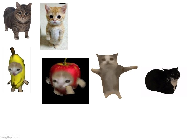 The Cats | image tagged in cats,memes | made w/ Imgflip meme maker