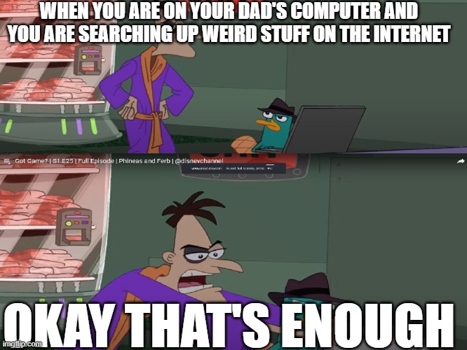 Computer | WHEN YOU ARE ON YOUR DAD'S COMPUTER AND YOU ARE SEARCHING UP WEIRD STUFF ON THE INTERNET; OKAY THAT'S ENOUGH | image tagged in phineas and ferb | made w/ Imgflip meme maker