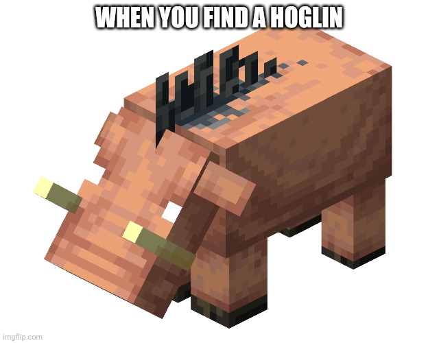 When you find a hoglin | WHEN YOU FIND A HOGLIN | image tagged in hoglin | made w/ Imgflip meme maker