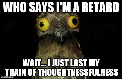 Weird Stuff I Do Potoo | WHO SAYS I'M A RETARD WAIT... I JUST LOST MY TRAIN OF THOUGHTNESSFULNESS | image tagged in memes,weird stuff i do potoo | made w/ Imgflip meme maker