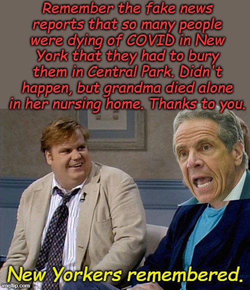 The political comeback that had less chance than an ice cube in hell... | Remember the fake news reports that so many people were dying of COVID in New York that they had to bury them in Central Park. Didn't happen, but grandma died alone in her nursing home. Thanks to you. New Yorkers remembered. | image tagged in remember that time | made w/ Imgflip meme maker