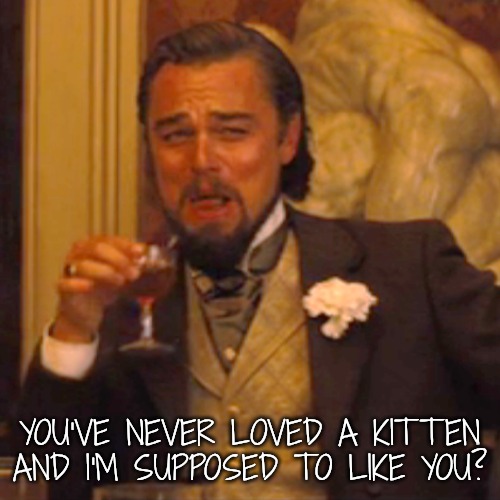 Yeah, Right! | YOU'VE NEVER LOVED A KITTEN AND I'M SUPPOSED TO LIKE YOU? | image tagged in memes,laughing leo,kittens rock | made w/ Imgflip meme maker