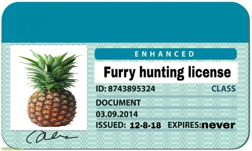 furry hunting license | image tagged in furry hunting license | made w/ Imgflip meme maker