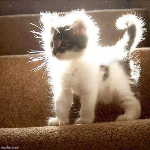 Mew :3 | image tagged in mew 3 | made w/ Imgflip meme maker