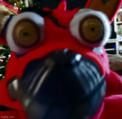 Foxy plush Fnaf | image tagged in foxy plush fnaf | made w/ Imgflip meme maker