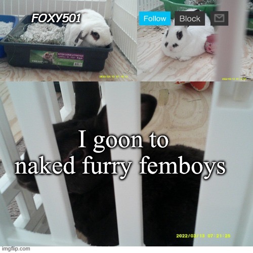 Foxy501 announcement template | I goon to naked furry femboys | image tagged in foxy501 announcement template | made w/ Imgflip meme maker