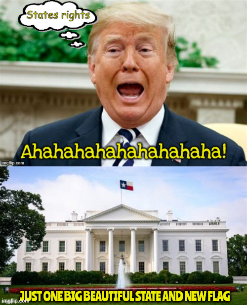 Uno State of America | JUST ONE BIG BEAUTIFUL STATE AND NEW FLAG | image tagged in uno state of america,states rights,democracy is dead,uno states flag,maga monarchy,one big beautiful state | made w/ Imgflip meme maker