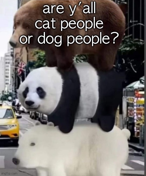 upvote for cat, comment for dog | are y'all cat people or dog people? | image tagged in real we bare bears | made w/ Imgflip meme maker