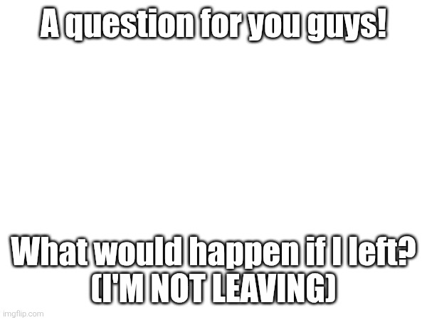 ... | A question for you guys! What would happen if I left?
(I'M NOT LEAVING) | image tagged in no | made w/ Imgflip meme maker