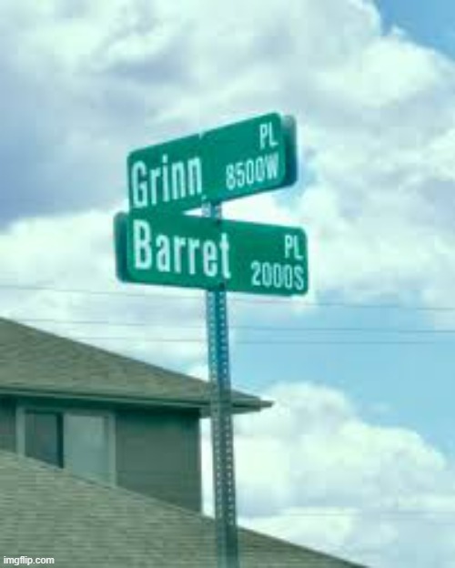 Funny street signs. Grinn and Barret intersection. | image tagged in funny,funny signs,street signs,humor,play on words | made w/ Imgflip meme maker
