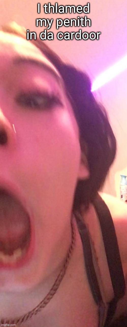 Me when I Thlammed my penith in the cah door | I thlamed my penith in da cardoor | image tagged in me when i thlammed my penith in the cah door | made w/ Imgflip meme maker