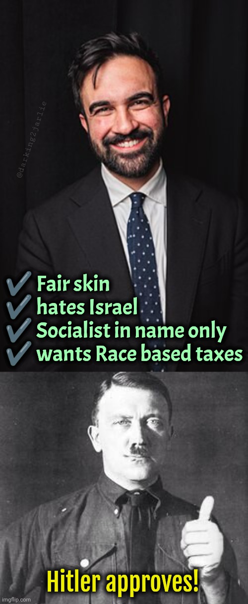 "If Nazism ever comes to America, it will come in the name of liberalism." | @darking2jarlie; ✔️ Fair skin
✔️ hates Israel 
✔️ Socialist in name only 
✔️ wants Race based taxes; Hitler approves! | image tagged in zohran mamdani,hitler approves,democrats,liberals,socialism | made w/ Imgflip meme maker