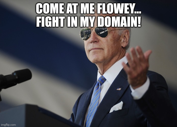 Joe Biden come at me bro | COME AT ME FLOWEY... FIGHT IN MY DOMAIN! | image tagged in joe biden come at me bro | made w/ Imgflip meme maker