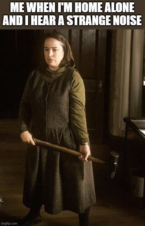 When I'm Home Alone And Hear Strange Noise | ME WHEN I'M HOME ALONE AND I HEAR A STRANGE NOISE | image tagged in home alone,strange noise,kathy bates,misery,funny,memes | made w/ Imgflip meme maker