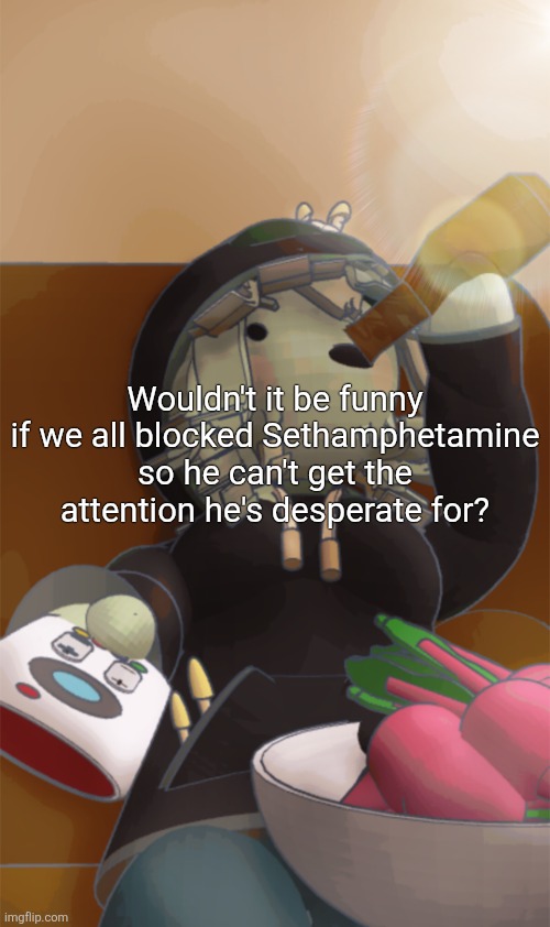 Mora | Wouldn't it be funny if we all blocked Sethamphetamine so he can't get the attention he's desperate for? | image tagged in mora | made w/ Imgflip meme maker