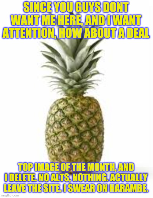 Sethamphetamine announcement temp | SINCE YOU GUYS DONT WANT ME HERE, AND I WANT ATTENTION, HOW ABOUT A DEAL; TOP IMAGE OF THE MONTH, AND I DELETE. NO ALTS, NOTHING. ACTUALLY LEAVE THE SITE. I SWEAR ON HARAMBE. | image tagged in sethamphetamine announcement temp | made w/ Imgflip meme maker