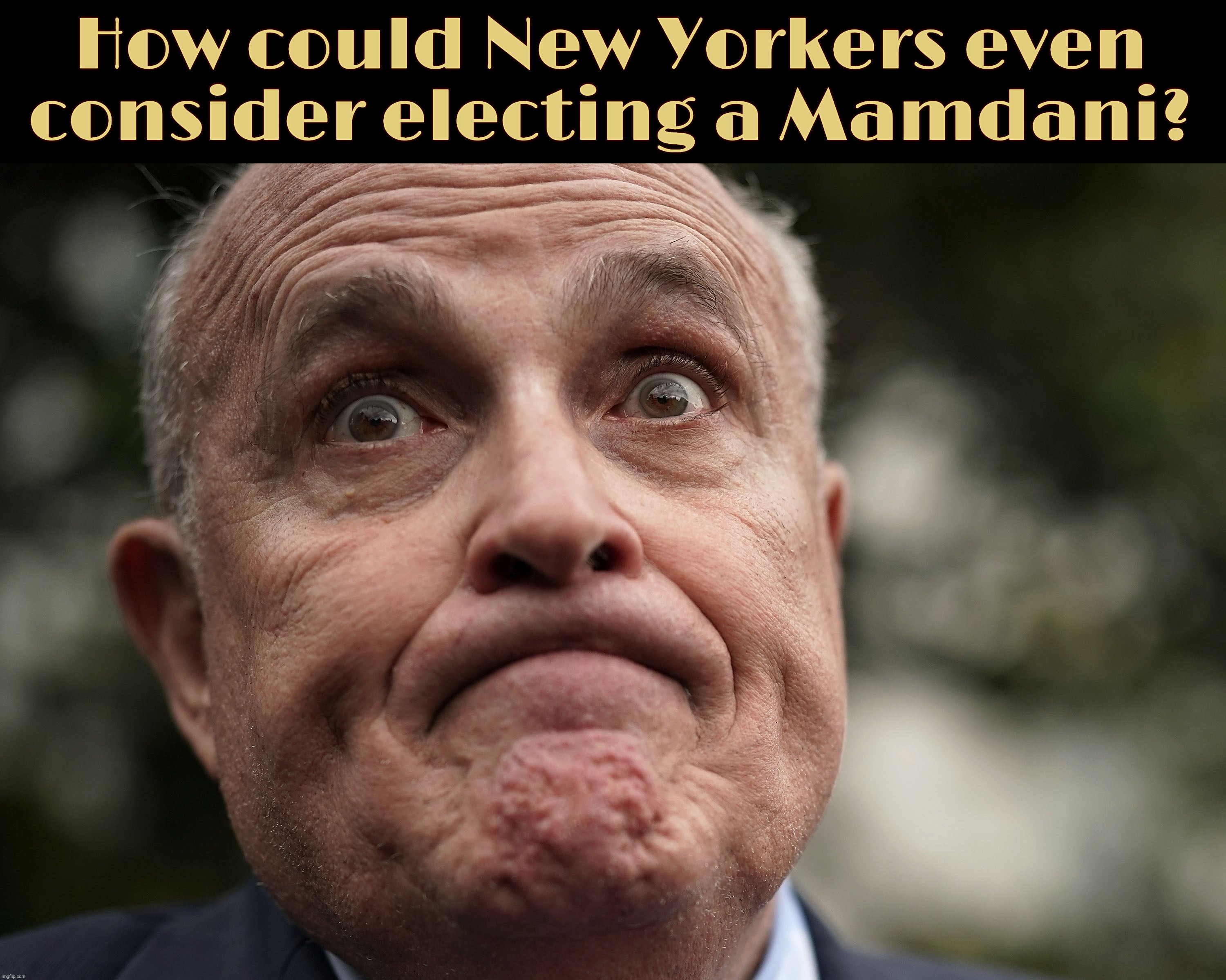 Not like New York City ever mucked up when electing a mayor before. They've been so bad, they make Koch look almost ok. Almost. | How could New Yorkers even
consider electing a Mamdani? | image tagged in zohran mamdani,nyc mayoral election 2025,the year we took a dive,not like we haven't before,giuliani,and all the rest | made w/ Imgflip meme maker