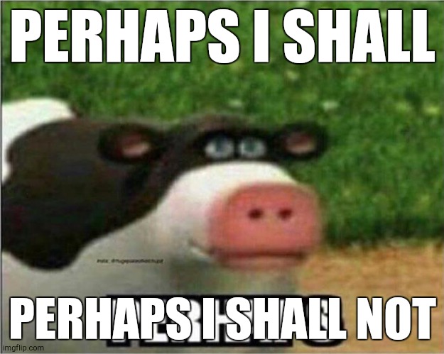 Perhaps Cow | PERHAPS I SHALL PERHAPS I SHALL NOT | image tagged in perhaps cow | made w/ Imgflip meme maker