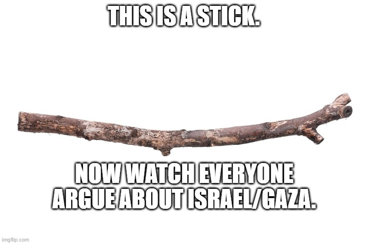 Stick | THIS IS A STICK. NOW WATCH EVERYONE ARGUE ABOUT ISRAEL/GAZA. | image tagged in israel gaza,israel,gaza,palestine | made w/ Imgflip meme maker