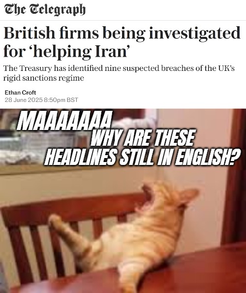 MAAAAAAA; WHY ARE THESE HEADLINES STILL IN ENGLISH? | image tagged in maaaa cat,funny,uk,great britain,iran | made w/ Imgflip meme maker