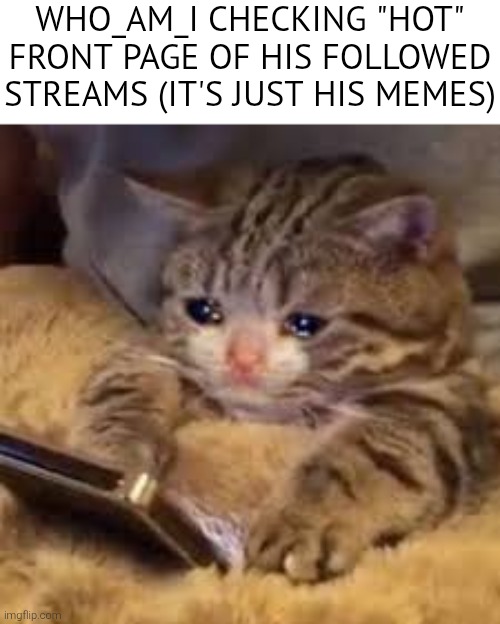 Sad Cat Looking At Phone | WHO_AM_I CHECKING "HOT" FRONT PAGE OF HIS FOLLOWED STREAMS (IT'S JUST HIS MEMES) | image tagged in sad cat looking at phone | made w/ Imgflip meme maker