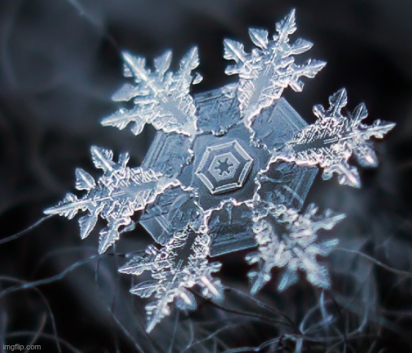 Snowflake | image tagged in photography,snowflake | made w/ Imgflip meme maker