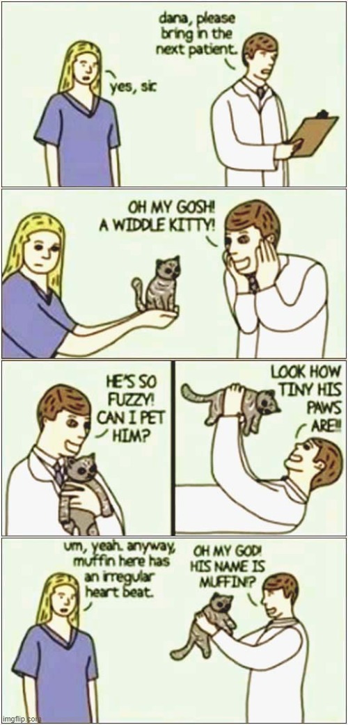 If I Were A Vet ... | image tagged in cats,obsessed,veterinarian | made w/ Imgflip meme maker