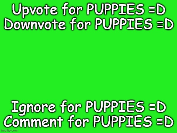 Read the title for PUPPIES =D | Upvote for PUPPIES =D
Downvote for PUPPIES =D; Ignore for PUPPIES =D
Comment for PUPPIES =D | image tagged in puppies | made w/ Imgflip meme maker