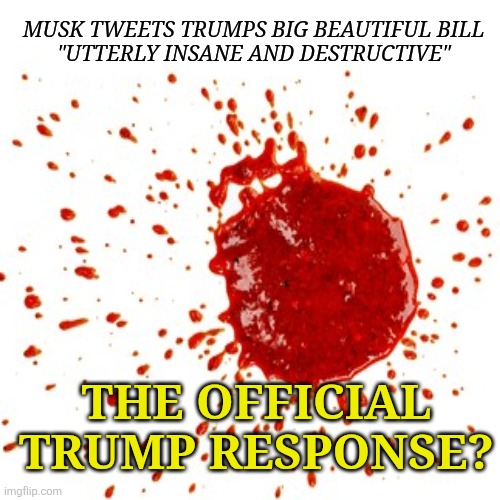 Musk vs Trump rematch! Magamania 2! | MUSK TWEETS TRUMPS BIG BEAUTIFUL BILL 

"UTTERLY INSANE AND DESTRUCTIVE"; THE OFFICIAL TRUMP RESPONSE? | image tagged in trump,elon musk,maga,wrestlemania,ketchup | made w/ Imgflip meme maker