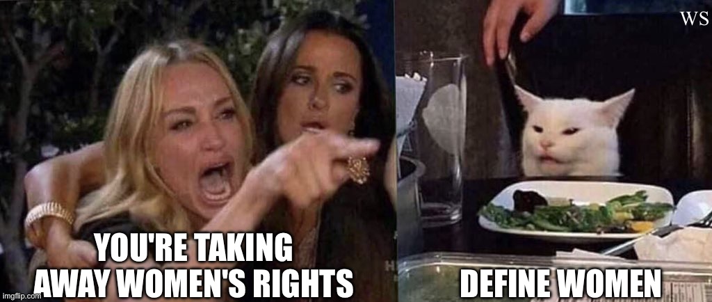woman yelling at cat | WS; YOU'RE TAKING AWAY WOMEN'S RIGHTS; DEFINE WOMEN | image tagged in woman yelling at cat | made w/ Imgflip meme maker