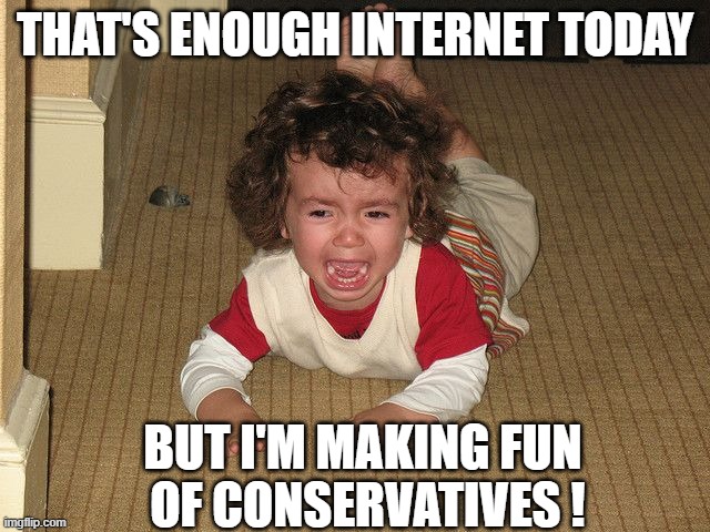 Temper tantrum | THAT'S ENOUGH INTERNET TODAY BUT I'M MAKING FUN
 OF CONSERVATIVES ! | image tagged in temper tantrum | made w/ Imgflip meme maker