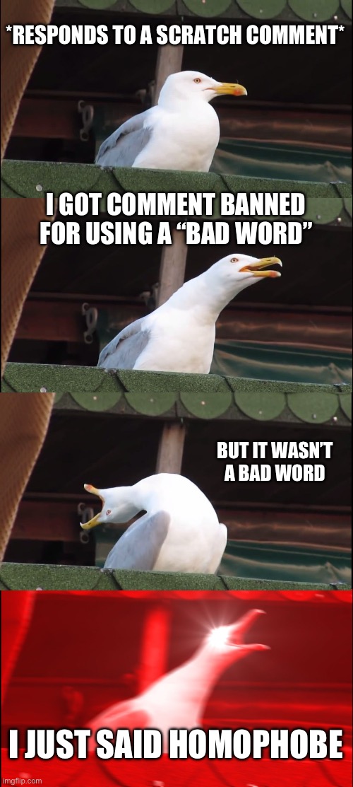 Homophobia should be a bad word, not homophobe | *RESPONDS TO A SCRATCH COMMENT*; I GOT COMMENT BANNED FOR USING A “BAD WORD”; BUT IT WASN’T A BAD WORD; I JUST SAID HOMOPHOBE | image tagged in memes,inhaling seagull | made w/ Imgflip meme maker