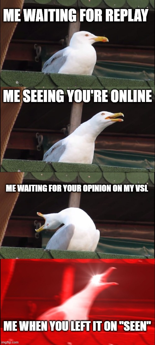 Meme | ME WAITING FOR REPLAY; ME SEEING YOU'RE ONLINE; ME WAITING FOR YOUR OPINION ON MY VSL; ME WHEN YOU LEFT IT ON "SEEN" | image tagged in memes,inhaling seagull | made w/ Imgflip meme maker