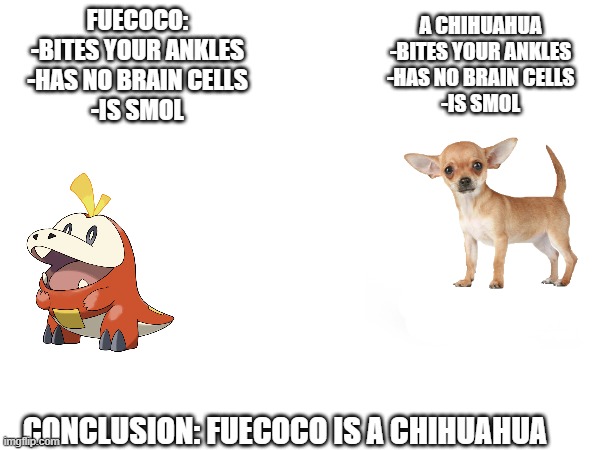 help | FUECOCO:
-BITES YOUR ANKLES
-HAS NO BRAIN CELLS
-IS SMOL; A CHIHUAHUA
-BITES YOUR ANKLES
-HAS NO BRAIN CELLS
-IS SMOL; CONCLUSION: FUECOCO IS A CHIHUAHUA | made w/ Imgflip meme maker