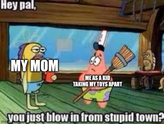Hey pal, you just blow in from stupid town? | MY MOM; ME AS A KID TAKING MY TOYS APART | image tagged in hey pal you just blow in from stupid town | made w/ Imgflip meme maker