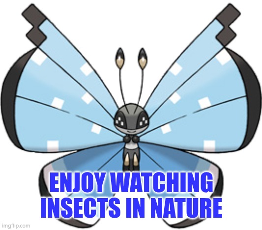 Enjoy watching insects in nature | ENJOY WATCHING INSECTS IN NATURE | image tagged in relax,nature,relaxing,gardening | made w/ Imgflip meme maker