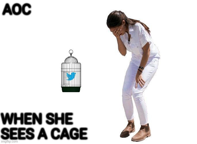 Aoc Cage | AOC; WHEN SHE 
SEES A CAGE | image tagged in aoc cries,funny memes | made w/ Imgflip meme maker