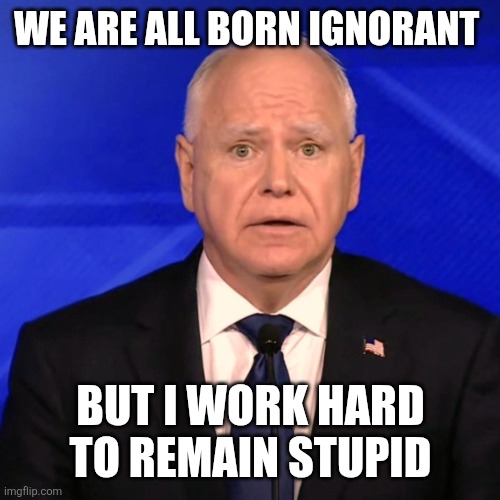 Stupid | WE ARE ALL BORN IGNORANT; BUT I WORK HARD TO REMAIN STUPID | image tagged in tim walz debate 2024,funny memes | made w/ Imgflip meme maker